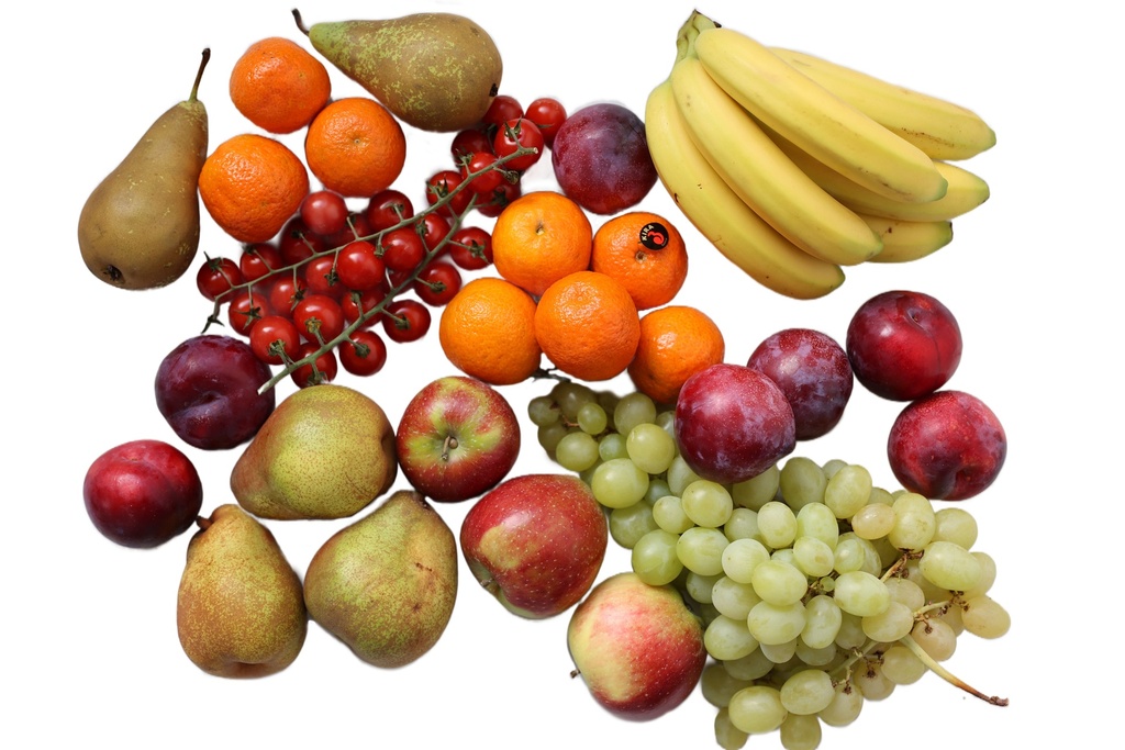 Fruitmand: Basic XS